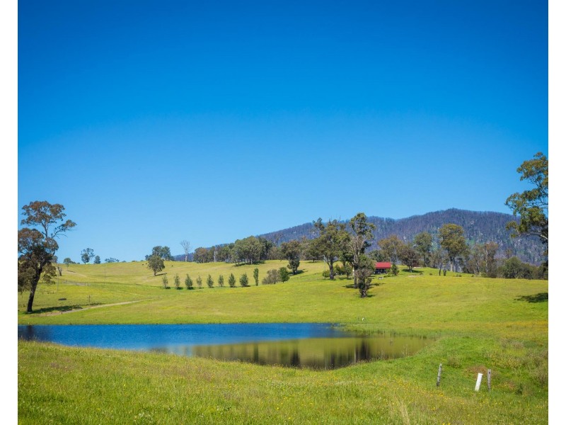 276 Murrabrine Lane, Cobargo NSW 2550