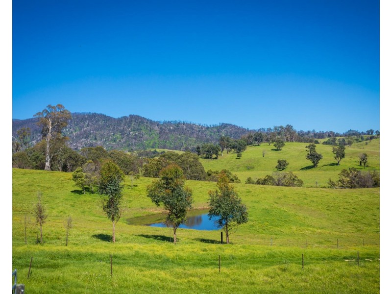 276 Murrabrine Lane, Cobargo NSW 2550