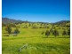 276 Murrabrine Lane, Cobargo NSW 2550