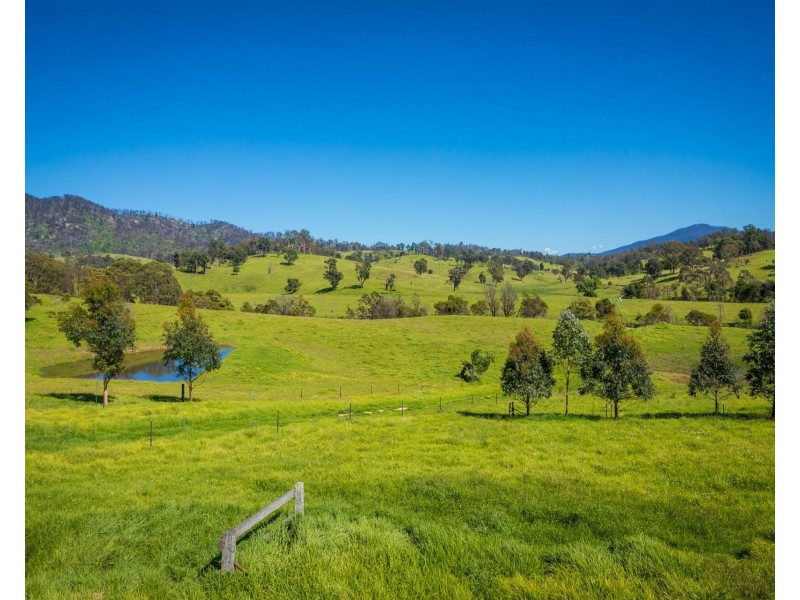 276 Murrabrine Lane, Cobargo NSW 2550