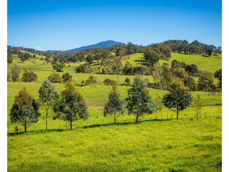 276 Murrabrine Lane, Cobargo NSW 2550