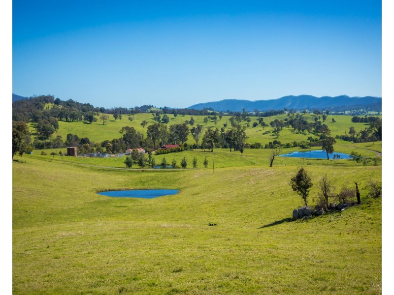 276 Murrabrine Lane, Cobargo NSW 2550