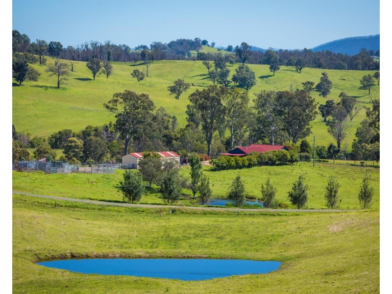 276 Murrabrine Lane, Cobargo NSW 2550