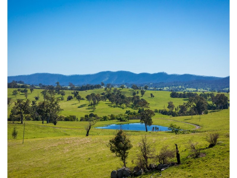 276 Murrabrine Lane, Cobargo NSW 2550