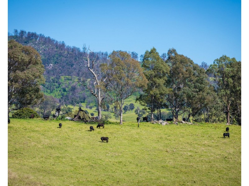 276 Murrabrine Lane, Cobargo NSW 2550