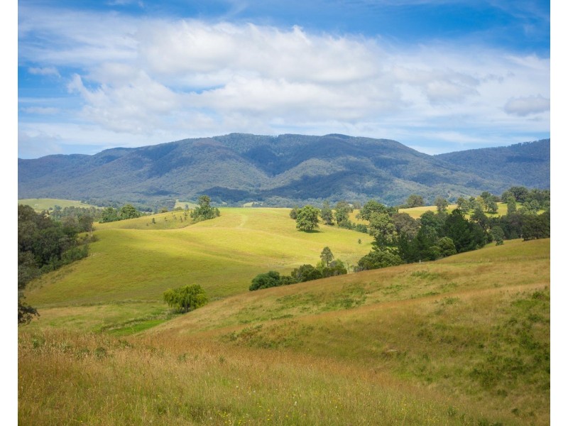 225 Brown Pearson Rd, Bemboka NSW 2550