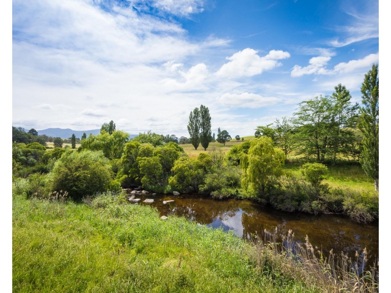 225 Brown Pearson Rd, Bemboka NSW 2550