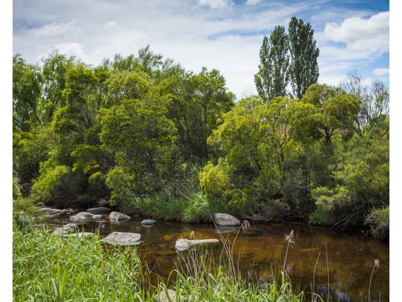 225 Brown Pearson Rd, Bemboka NSW 2550