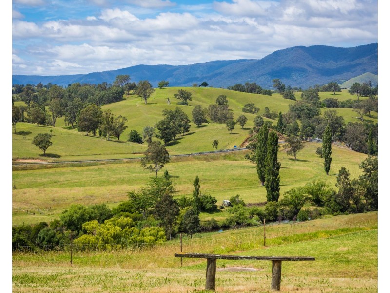 225 Brown Pearson Rd, Bemboka NSW 2550