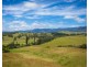 225 Brown Pearson Rd, Bemboka NSW 2550
