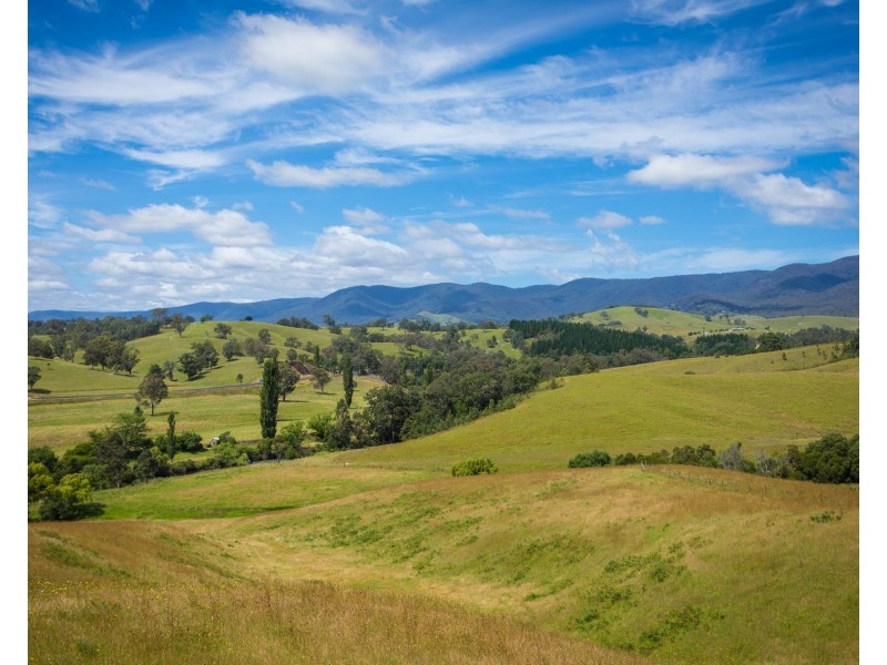 225 Brown Pearson Rd, Bemboka NSW 2550