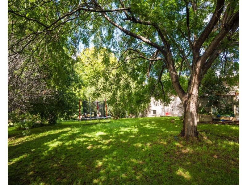 81 – 85 Rawlinson Street, Bega NSW 2550