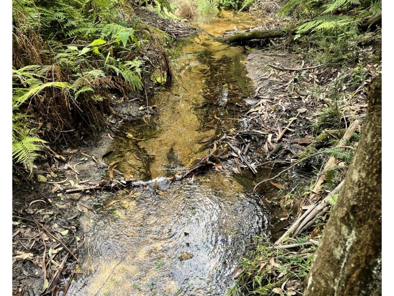 Lot 3 Buckleys Road, Bemboka NSW 2550