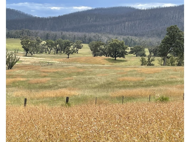 Lots 1 and 12 Dray Road, Yowrie NSW 2550