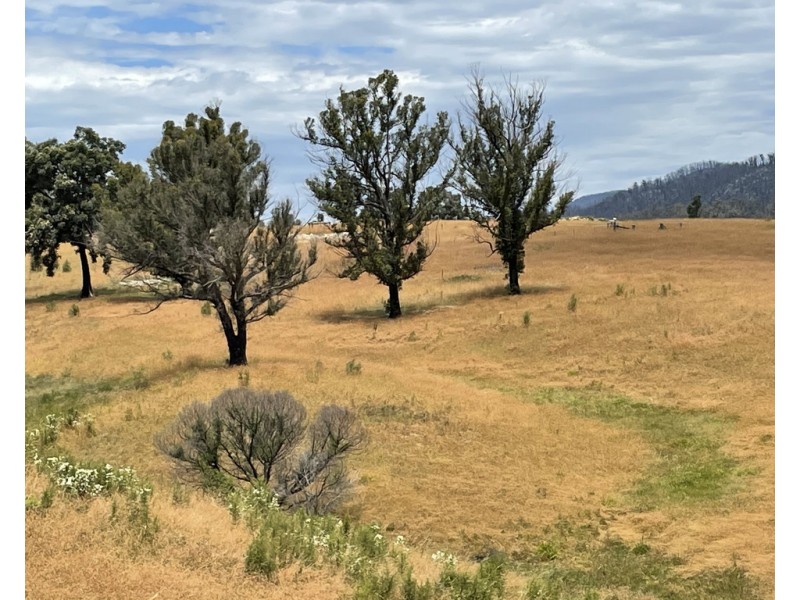 Lots 1 and 12 Dray Road, Yowrie NSW 2550