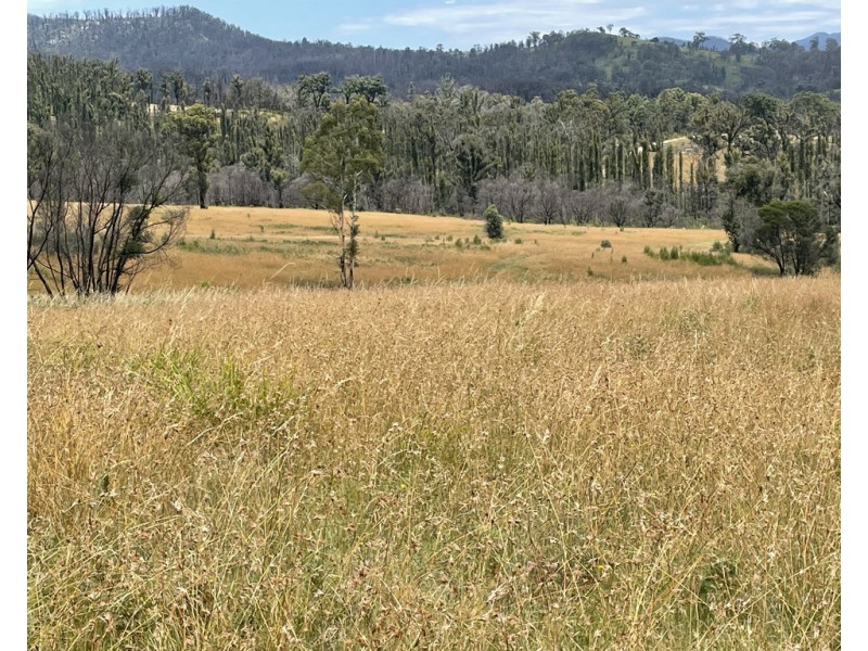 Lots 1 and 12 Dray Road, Yowrie NSW 2550