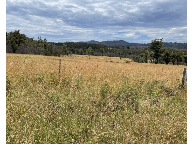 Lots 1 and 12 Dray Road, Yowrie NSW 2550