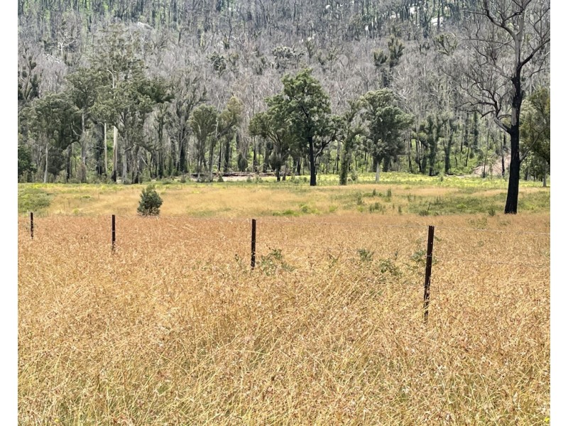 Lots 1 and 12 Dray Road, Yowrie NSW 2550