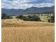 Lots 1 and 12 Dray Road, Yowrie NSW 2550