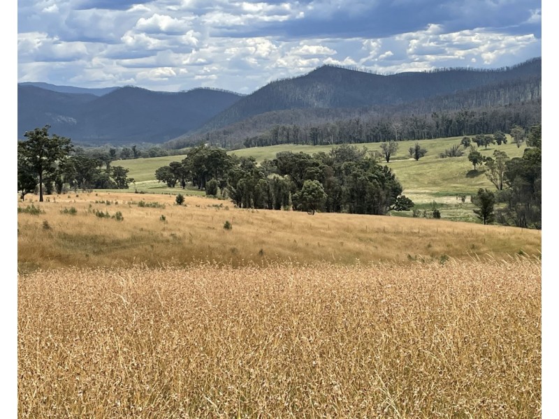 Lots 1 and 12 Dray Road, Yowrie NSW 2550