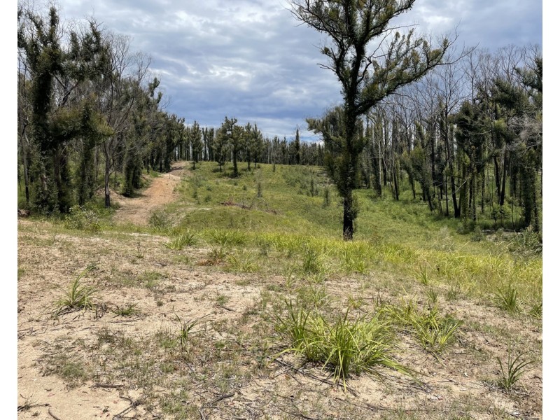 Lots 1 and 12 Dray Road, Yowrie NSW 2550