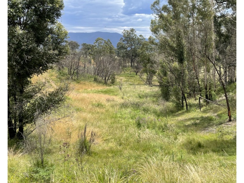 Lots 1 and 12 Dray Road, Yowrie NSW 2550