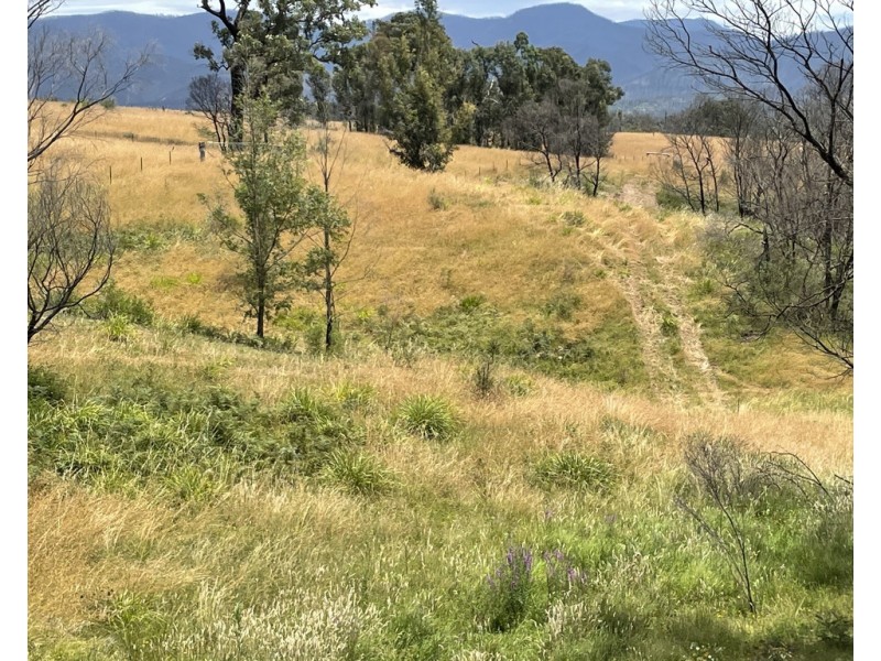 Lots 1 and 12 Dray Road, Yowrie NSW 2550