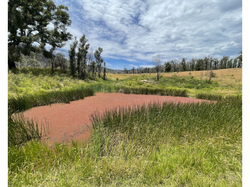 Lots 1 and 12 Dray Road, Yowrie NSW 2550