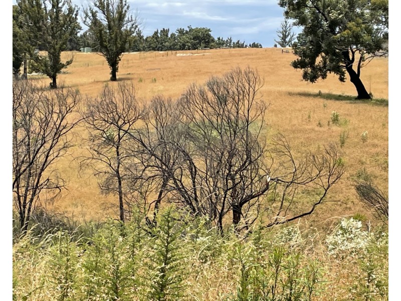 Lots 1 and 12 Dray Road, Yowrie NSW 2550