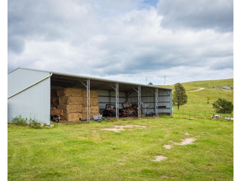 1060 Buckajo Rd, Buckajo NSW 2550