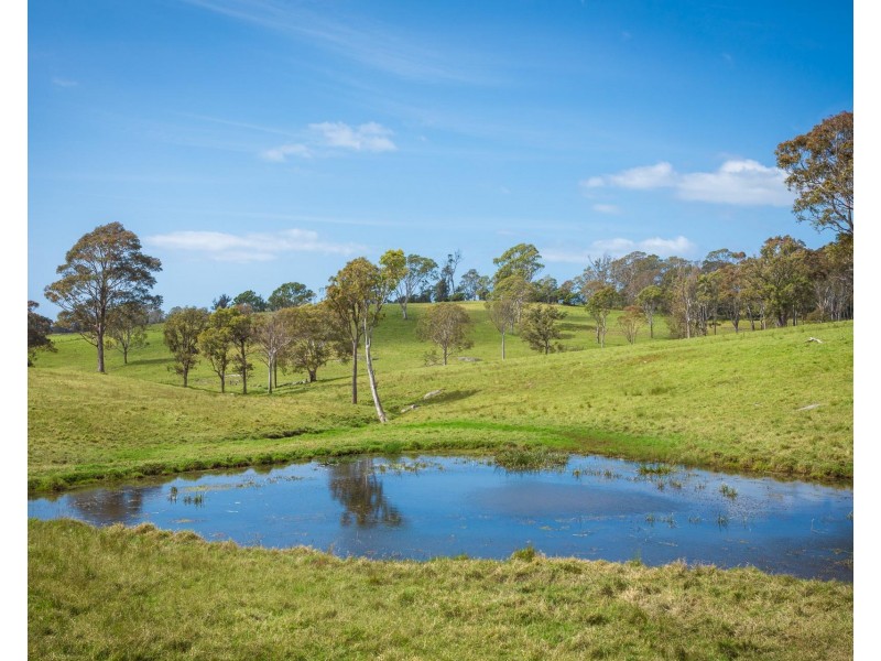 46 Bergalia Link Road, Bergalia NSW 2537