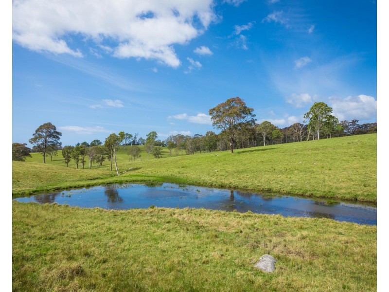 46 Bergalia Link Road, Bergalia NSW 2537