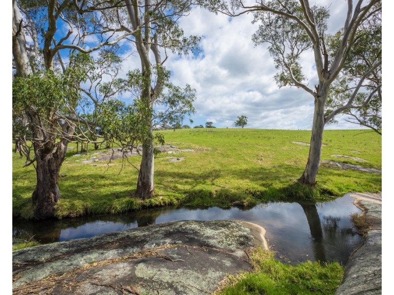 46 Bergalia Link Road, Bergalia NSW 2537