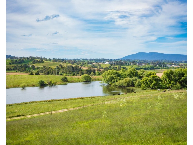 188 Buckajo Road, Buckajo NSW 2550