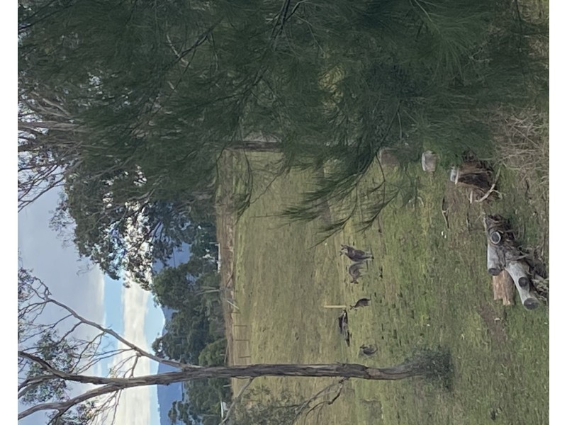 Lot 8 Kameruka Street, Bemboka NSW 2550