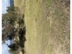 Lot 8 Kameruka Street, Bemboka NSW 2550