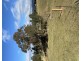 Lot 8 Kameruka Street, Bemboka NSW 2550