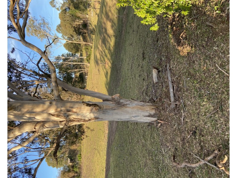 Lot 8 Kameruka Street, Bemboka NSW 2550