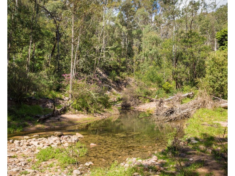 434 Atkins Anderson Road, Myrtle Mountain NSW 2550