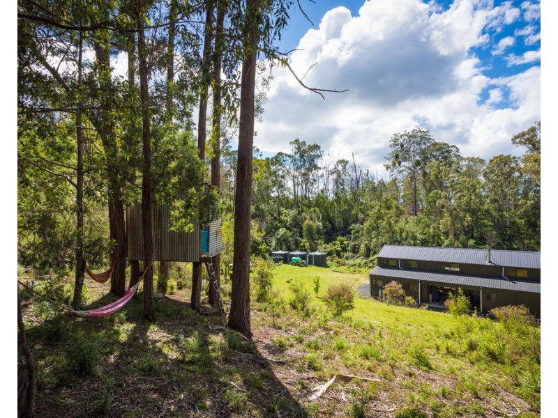 434 Atkins Anderson Road, Myrtle Mountain NSW 2550