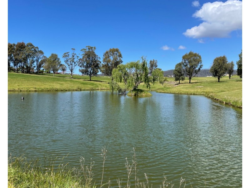 Lot 2154 Coolagolite Rd, Coolagolite NSW 2550