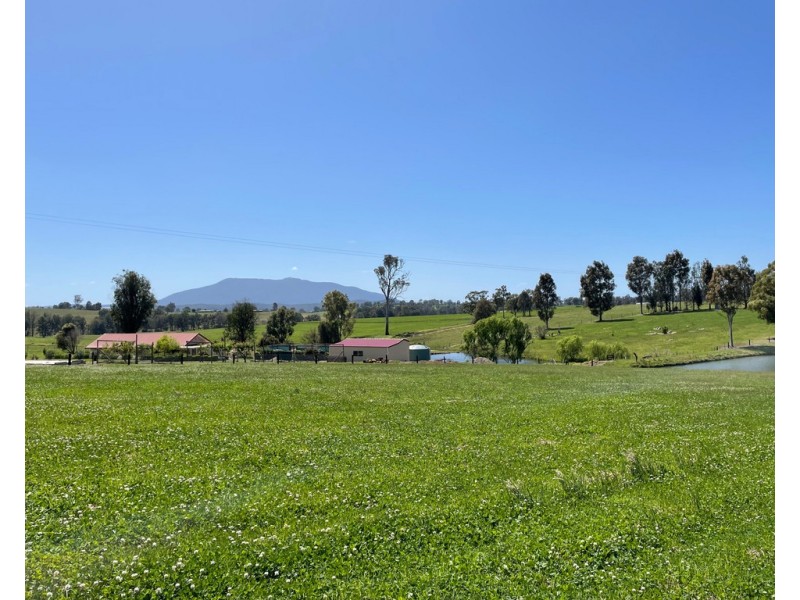 Lot 2154 Coolagolite Rd, Coolagolite NSW 2550
