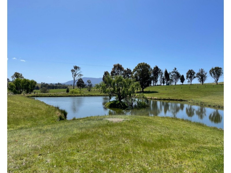 Lot 2154 Coolagolite Rd, Coolagolite NSW 2550