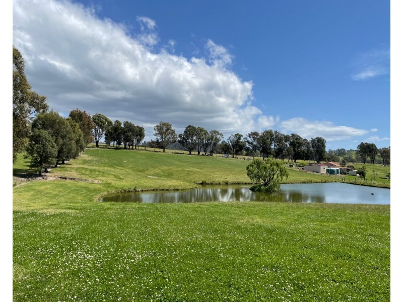 Lot 2154 Coolagolite Rd, Coolagolite NSW 2550