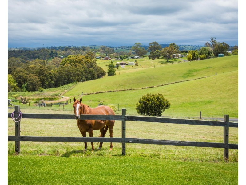 77 Max Slater Drive, Bega NSW 2550