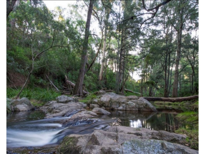 12623 Princes Highway, Brogo NSW 2550