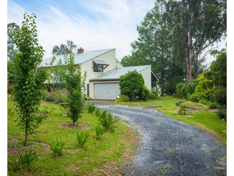 12623 Princes Highway, Brogo NSW 2550
