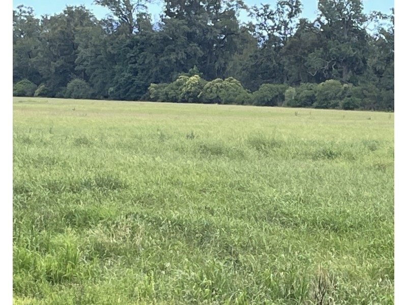 Lot 3201 Tarraganda Lane, Bega NSW 2550