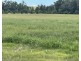Lot 3201 Tarraganda Lane, Bega NSW 2550
