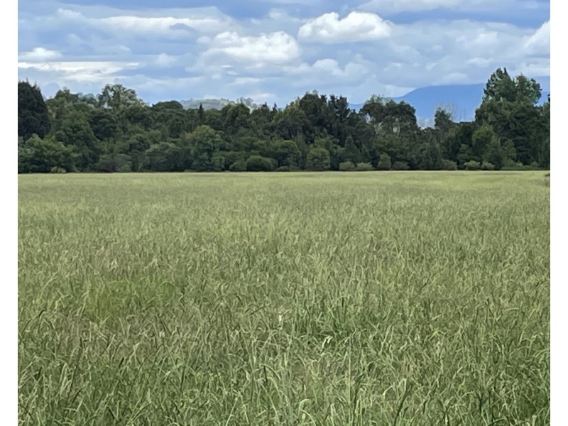Lot 3201 Tarraganda Lane, Bega NSW 2550